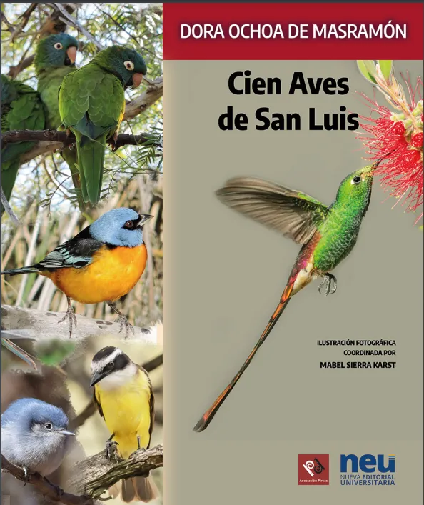 Carpintero Campestre